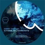 cover: Tomin Tomovic - Storm Of Serenity