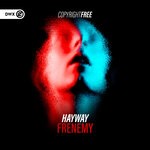 cover: Hayway - Frenemy