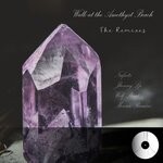 cover: Ressdan - Walk At The Amethyst Beach (The Remixes)