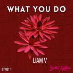 cover: Liam V - What You Do