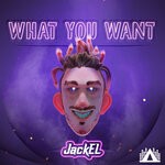 cover: Jackel - What You Want