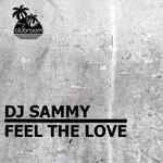 cover: Dj Sammy - Feel The Love