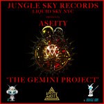 cover: Aseity - The Gemini Project