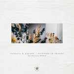 cover: Faodail|Kakadu - Painting In Shades (edapollo Remix)