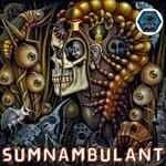 cover: Various - Sumnambulant