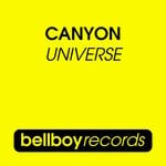 cover: Canyon - Universe