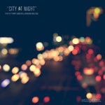 cover: Ferr|Ferry Corsten|Richard Walters - City At Night