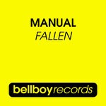 cover: Manual - Fallen