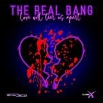 cover: The Real Bang - Love Will Tear Us Apart