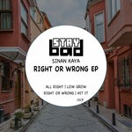 cover: Sinan Kaya - Right Or Wrong