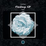 cover: Larion - Findings