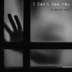 cover: Daniel Diaz - I Can't See You