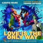 cover: Cassio Ware - Love Is The Only Way (Franke Estevez Fuzion Mixes)