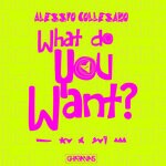 cover: Alessio Collesano - What Do You Want?