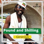 cover: Generous - Pound & Shilling (Pound Mix)