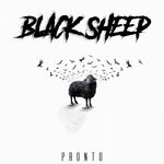 cover: Pronto - Black Sheep