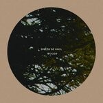 cover: Discos De Vinyl - Woods