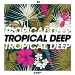 cover: Various - Tropical Deep Vol 22