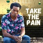 cover: Smokey - Take The Pain