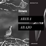 cover: Mesquitas - Ariba Abajo