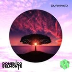 cover: Domenico Belmonte - Survived