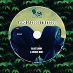 cover: Sti T's Soul|Vinci Da Code - Dlozi'lami (Acidic Mix)