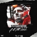 cover: Kananto Sativa - Benelli