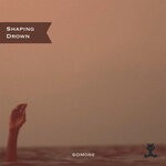 cover: Shaping - Drown