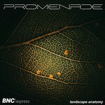 cover: Promenade - Landscape Anatomy