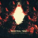 cover: Industrial Twins - Somebody But Themselves