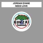 cover: Jordan Evane - Need Love