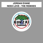 cover: Jordan Evane - Need Love (The Remixes)