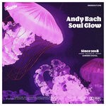 cover: Andy Bach - Soul Glow