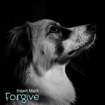 cover: Insert Mark - Forgive