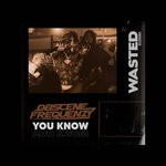 cover: Obscene Frequenzy - You Know