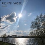 cover: Ruimte Vogel - Isness