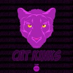 cover: Cat Kinks - So So Fast