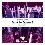 cover: Various - Dusk To Dawn 5