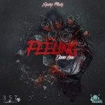 cover: Dann Gee - Feeling