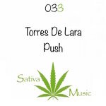 cover: Torres De Lara - Push