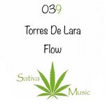 cover: Torres De Lara - Flow