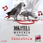 cover: Dokotela Mkhenza|Miano|Ntosh Gazi - Udokotela