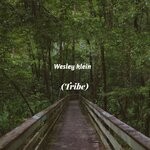 cover: Wesley Klein - Tribe