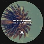 cover: Blackwing - Sex Machine (Original Mix)