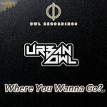 cover: Urban Owl - Where You Wanna Go