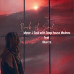 cover: Johnny Mster J Soul|Deep House Madness - Book Of Soul