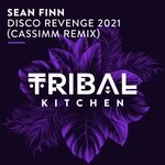 cover: Sean Finn - Disco Revenge 2021 (Cassimm Remix)