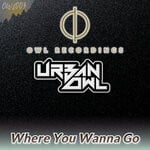 cover: Urban Owl - Where You Wanna Go (Vocal Mix)