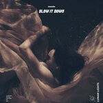 cover: Jezrelle - Slow It Down