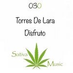 cover: Torres De Lara - Disfruto